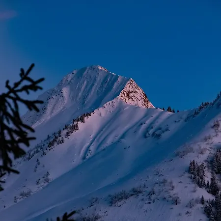 Sonnalpen 호텔 다뮐스